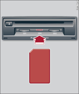 Fig. 212 Mini SIM card (actual size)