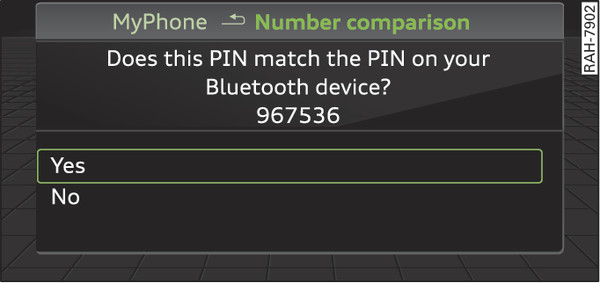 Fig. 211 PIN display for entry on mobile phone