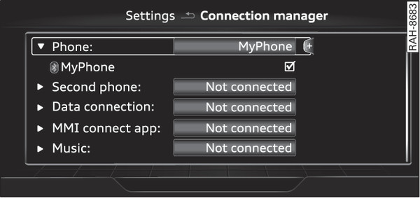 Fig. 259 Connection manager